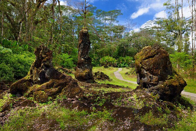 Hilo Shore Excursion: Safari Lava Caves, Falls and Highlights - Final Thoughts