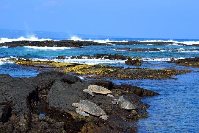 Hilo Shore Excursion: Volcanoes National Park and Rainbow Falls - An In-Depth Review of the Hilo Shore Excursion