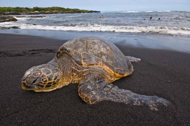 Hilo: Volcanoes National Park & Black Sand Beach - FAQ