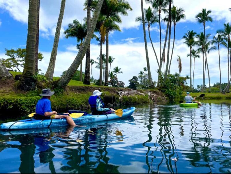 Hilo: Wailoa River to King Kamehameha Guided Kayaking Tour - A Detailed Look at the Wailoa River Kayaking Experience