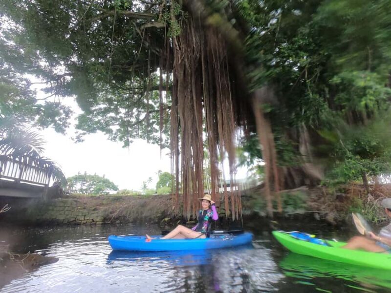 Hilo: Wailoa River to King Kamehameha Guided Kayaking Tour - Frequently Asked Questions