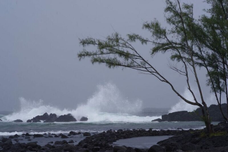 Hilo: Walking Ghost Tour - What to Expect on the Hilo Ghost Tour