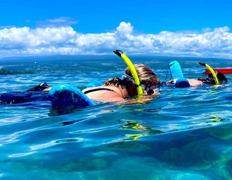 Hilo's Tropical Reef & Wildlife Boat Snorkel Adventure - The Sum Up: Is It Worth It?