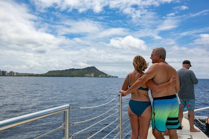 Hilton Hawaiian Village Turtle Snorkel with Optional Lunch - Analyzing the Value
