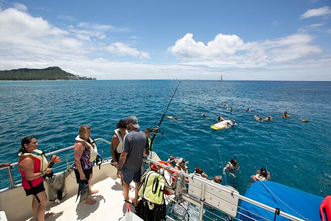 Hilton Hawaiian Village Turtle Snorkel with Optional Lunch - The Sum Up