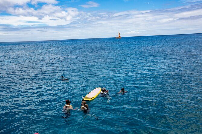Hilton Hawaiian Village Turtle Snorkel with Optional Lunch - FAQ