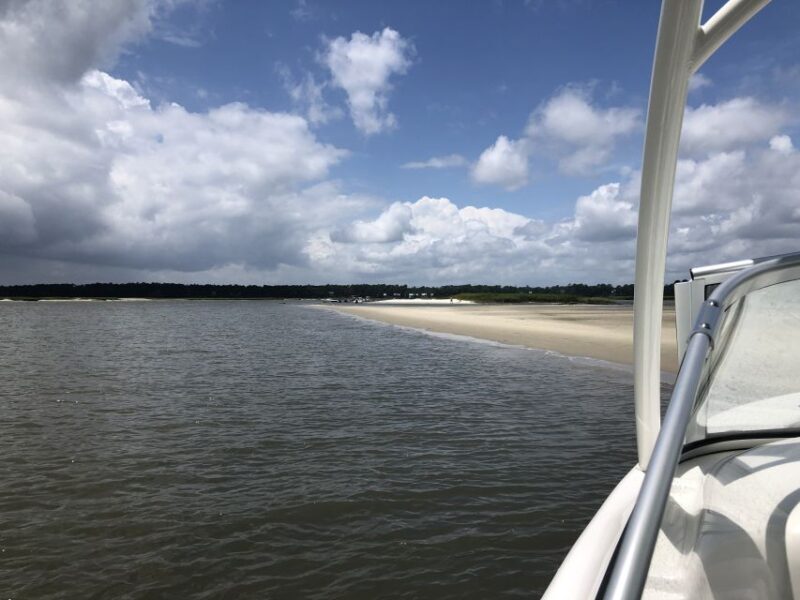 Hilton Head: 2 Hour Private Dolphin Tour - The Sum Up: Why Choose the Hilton Head Private Dolphin Tour?