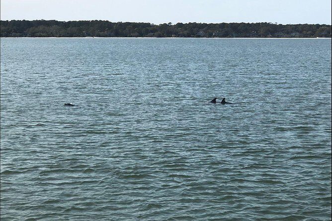 Hilton Head Crabbing Expedition Boat Cruise - A Detailed Look at the Hilton Head Crabbing Expedition