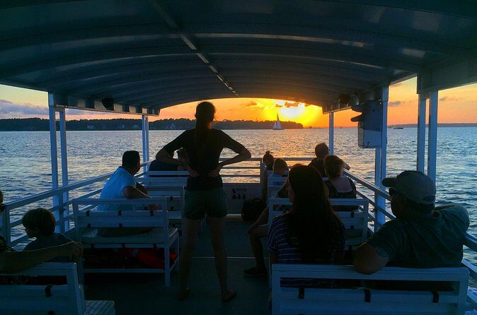 Hilton Head Dolphin Watching Cruise with Fireworks Display - The Sum Up