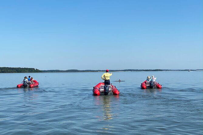 Hilton Head Guided Dolphin Watching & Sightseeing Tour via Mini Boat - FAQ