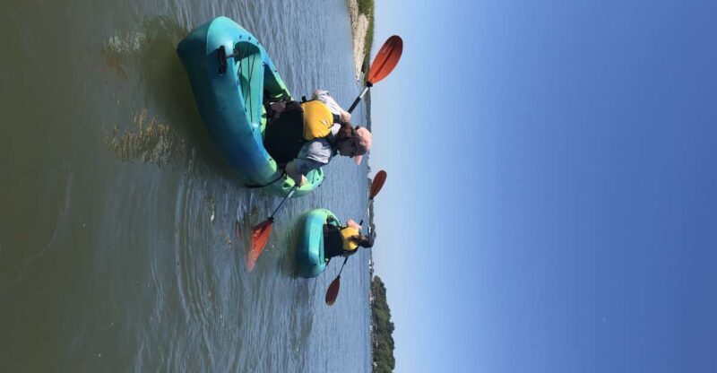 Hilton Head Island: 1.5-Hour Guided Small-Group Kayak Tour - A Closer Look at the Hilton Head Kayak Tour