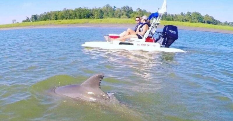 Hilton Head Island: 2-Hour Guided Creek Cat Tour - Hilton Head Island: 2-Hour Guided Creek Cat Tour