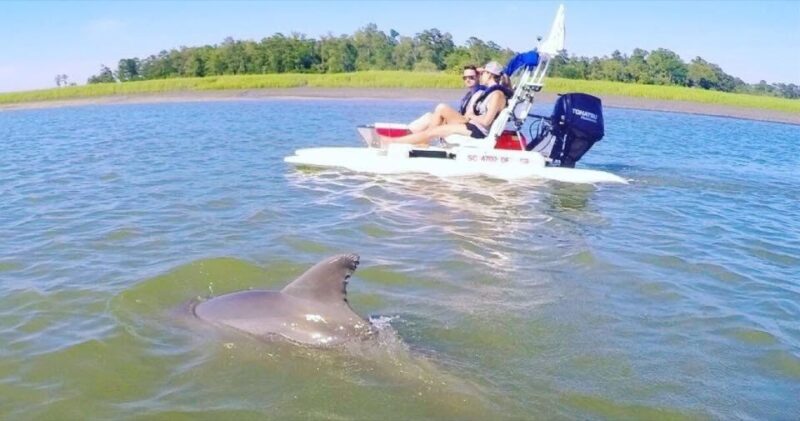 Hilton Head Island: 2-Hour Guided Creek Cat Tour - Who Will Love This Tour?