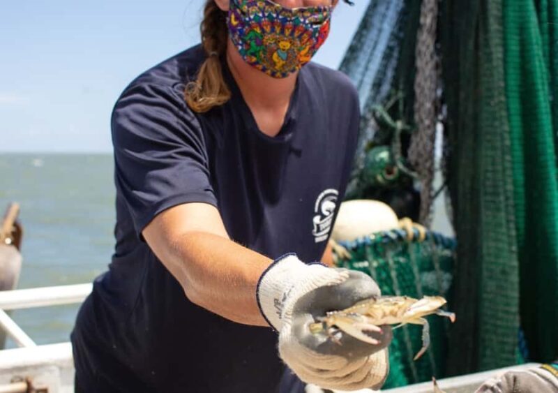 Hilton Head Island: Crabbing Expedition Boat Tour - Key Points