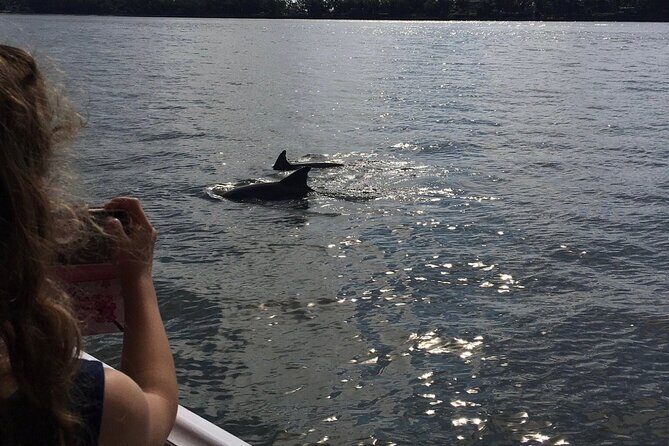 Hilton Head Island Dolphin Boat Cruise - The Sum Up