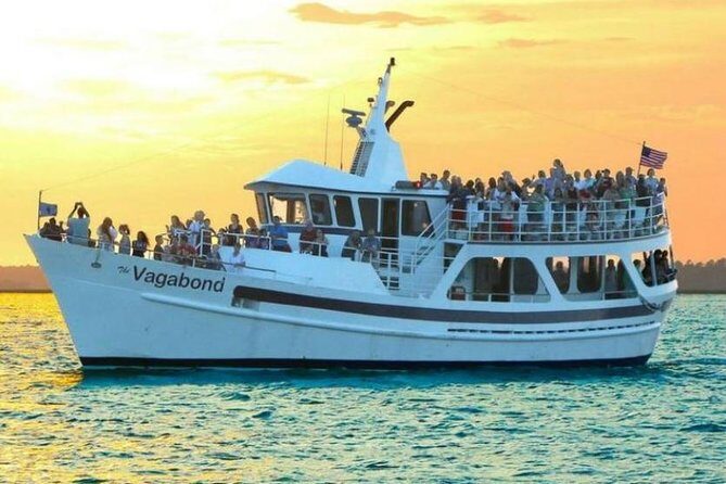 Hilton Head Island Dolphin Watching Nature Cruise - The Real Experience: What Travelers Say