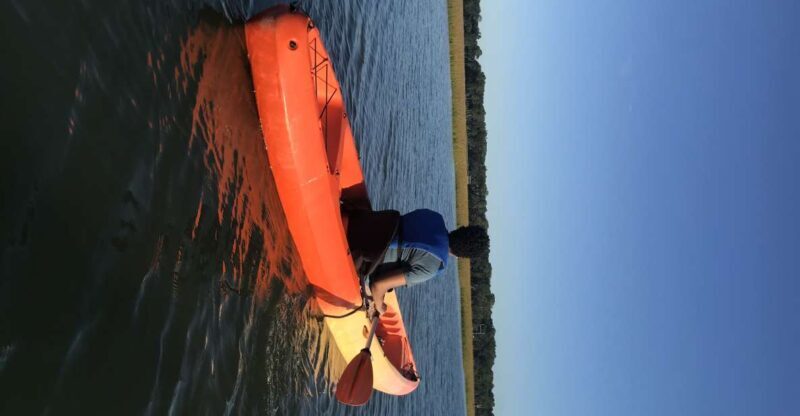 Hilton Head Island: Guided Kayak Tour with Coffee - Why Choose This Tour?