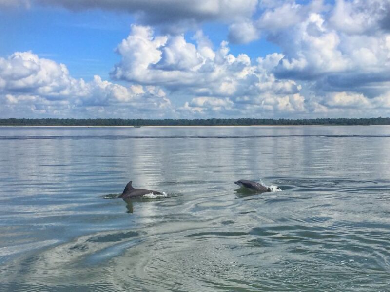Hilton Head Island: Jet Ski Tour - Who Its Best For