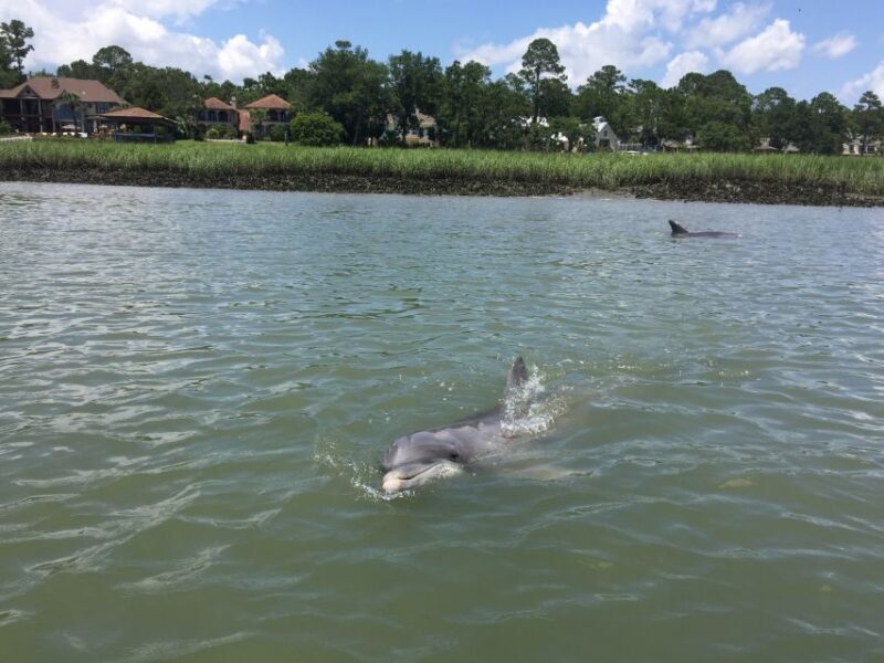Hilton Head Island: Pontoon Boat Rental - An In-Depth Look at the Hilton Head Pontoon Boat Rental Experience