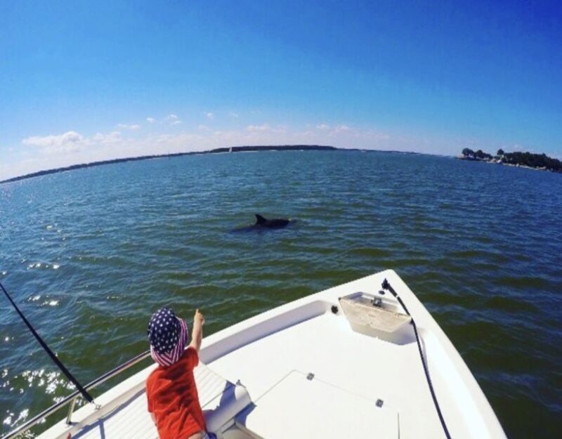 Hilton Head Island: Private Dolphin Watching Boat Tour - Exploring Hilton Head’s Dolphin Watching Experience