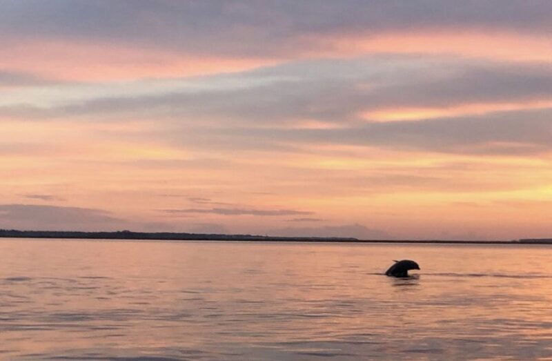 Hilton Head Island: Sunset Creek Cat Boat Tour - Hilton Head Island: Sunset Creek Cat Boat Tour