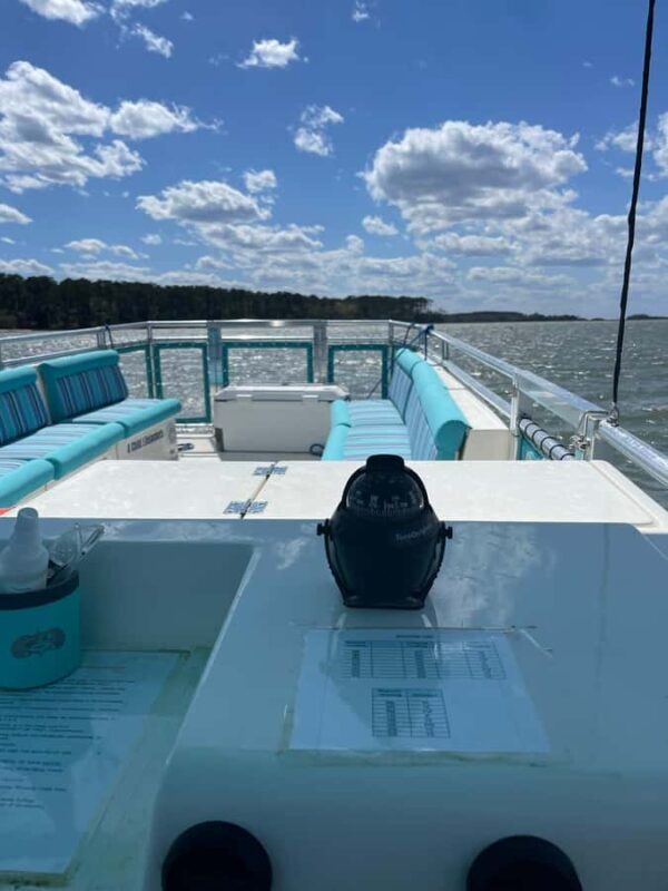 Hilton Head: Large Private Dolphin Tour, Dolphins Guaranteed - Final Thoughts