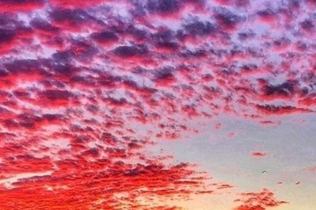 Hilton Head: Private Sunset Cruise - FAQs