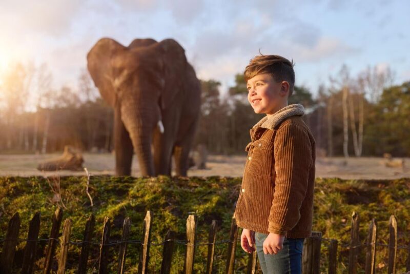 Hilvarenbeek: Safaripark Beekse Bergen Entry Ticket - What to Expect from Your Visit to Safaripark Beekse Bergen