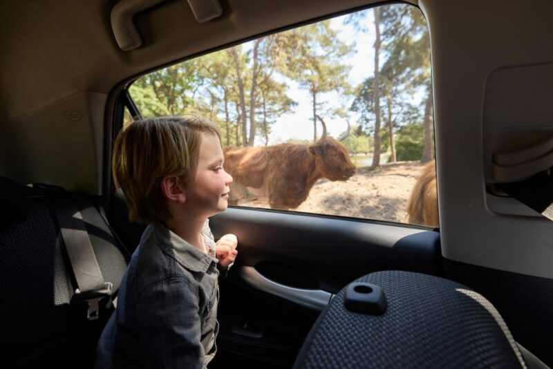 Hilvarenbeek: Safaripark Beekse Bergen Entry Ticket - Who Should Visit Safaripark Beekse Bergen?