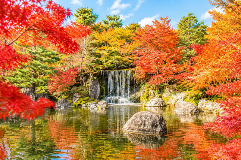 Himeji Castle, a World Heritage Site, Arima Onsen, one of Japans three ancient hot springs, and Mount Rokko Observation Deck Day Tour (Departing from Osaka) - Who will get the most from this day?