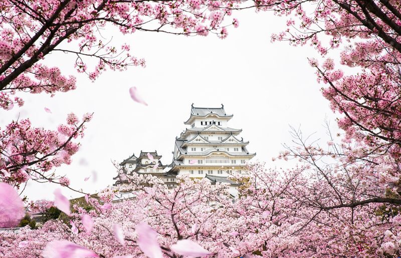 Himeji Castle and Kobe Night View Full-Day Small Group Tour - Start with Himeji Castle’s White Heron profile