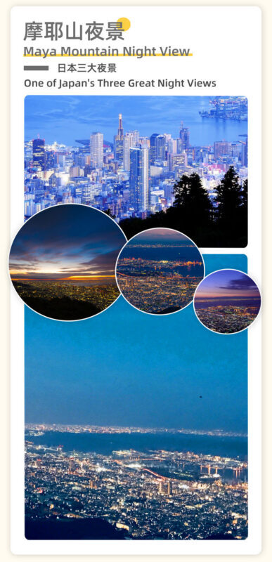 Himeji Castle and Kobe Night View Full-Day Small Group Tour - Who should choose this Himeji and Kobe day trip?