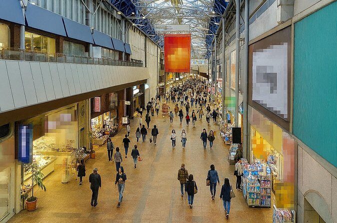 Himeji Castle and Sake Brewery Tour Private Day Trip - A Detailed Breakdown of the Experience