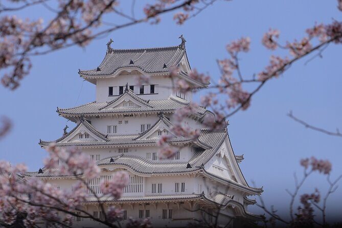 Himeji Castle Cherry Blossom Tour - Key Points