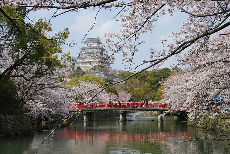 Himeji Castle & Engyoji Temple Half-Day Cultural Tour - Key points to know before you go