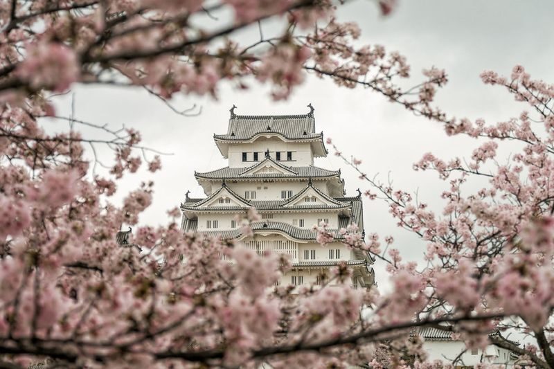 Himeji Castle & Engyoji Temple Half-Day Cultural Tour - First, get your bearings at Himeji Station