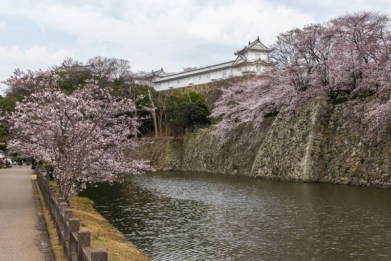Himeji Castle & Engyoji Temple Half-Day Cultural Tour - Engyoji Temple: a quieter change of scene