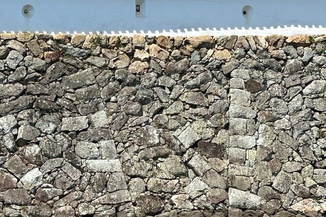 Himeji Castle Full Conquest Tour for Hardcore Castle Fans - A Closer Look at the Himeji Castle Full Conquest Tour