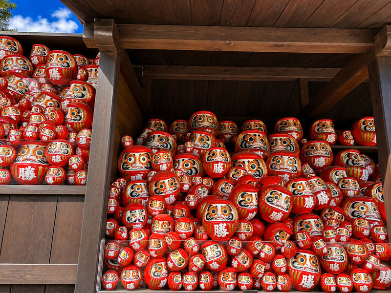 Himeji Castle & Katsuoji Temple Full-Day Discovery - Guide, driver and group experience
