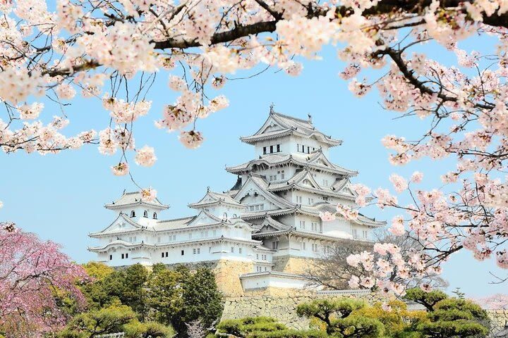 Himeji Half-Day Private Tour with Government-Licensed Guide - Himeji in four hours: the essentials