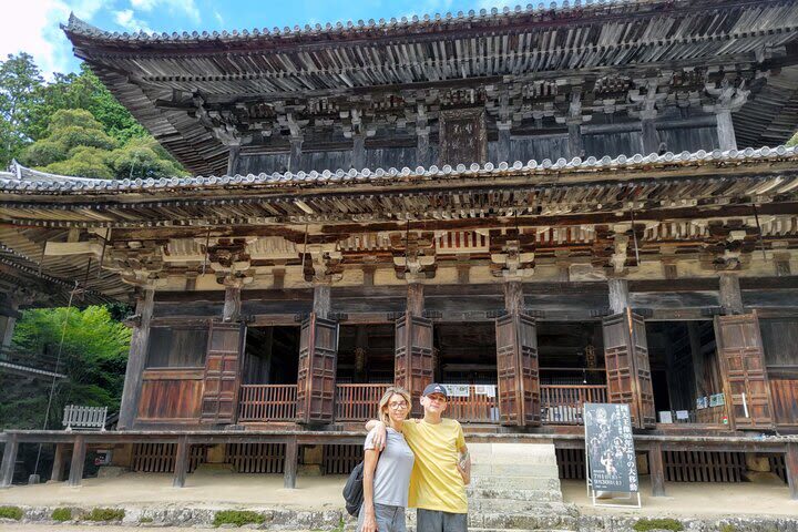 Himeji Half-Day Private Tour with Government-Licensed Guide - Who will get the most from this tour