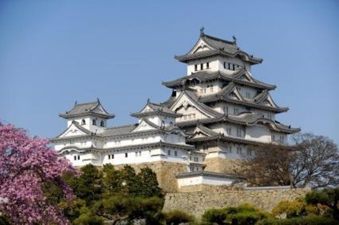 Himeji Half-Day Private Tour with Government-Licensed Guide - An In-Depth Look at the Himeji Half-Day Private Tour