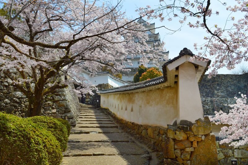 Himeji Half-Day Private UNESCO Castle & Sake Tour - Is $97.75 Good Value?