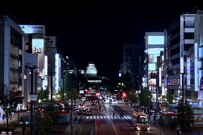 Himeji Private Customizable Full Day Tour - A Closer Look at the Experience