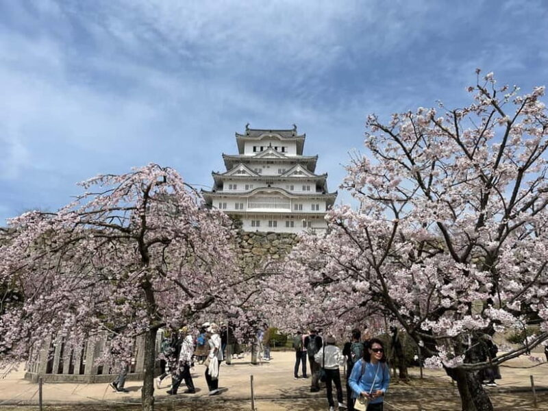 Himeji: visit the castle and Engyoji temple from Osaka - Key Points