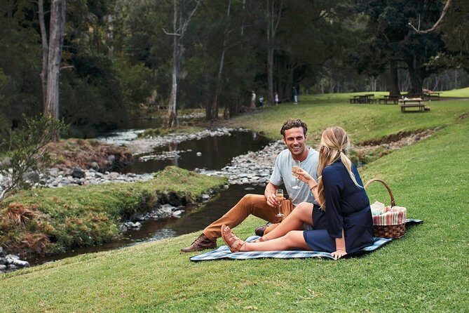 Hinterland Explorer Day Pass - Exploring Mt Tamborine with the Hinterland Explorer Day Pass