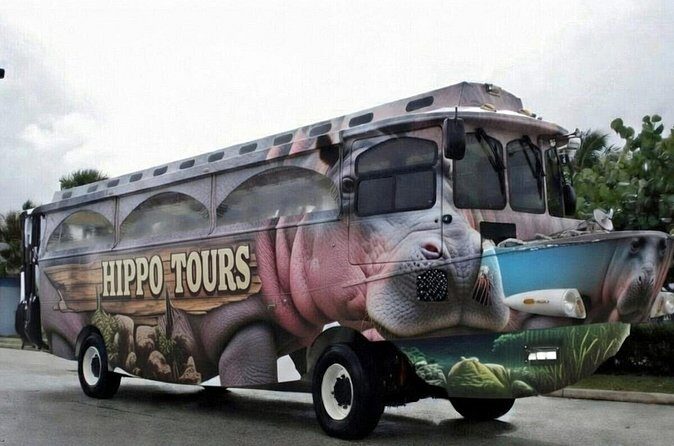 Hippo Splash Amphibious Tour in Cozumel - Who Should Consider This Tour?