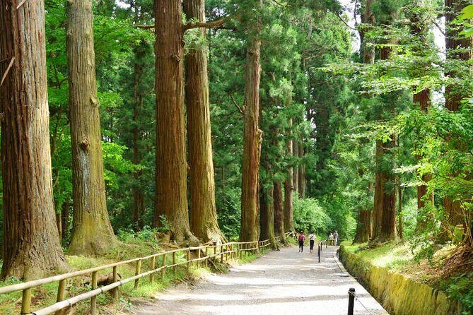 Hiraizumi Full-Day Private Trip with Government-Licensed Guide - Discover Hiraizumi: A Journey Through Japan’s Hidden Buddhist Capital