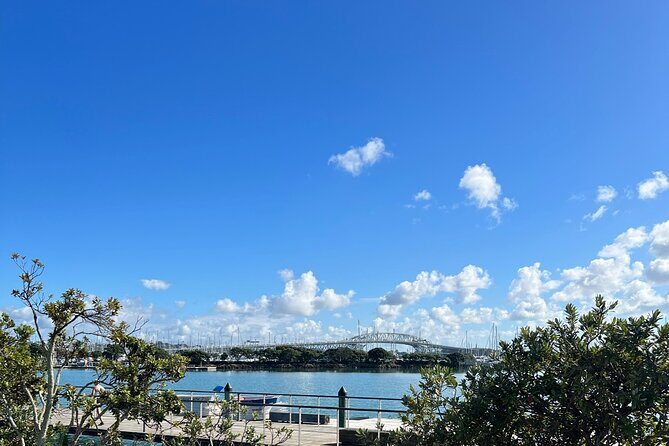 Hire A Driver From Ports Of Auckland - FAQ