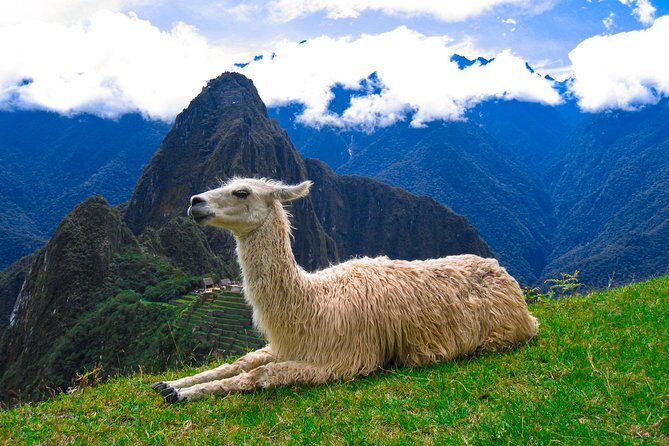 Hire a fluent English speaking and professional Machu Picchu guide - Key Points